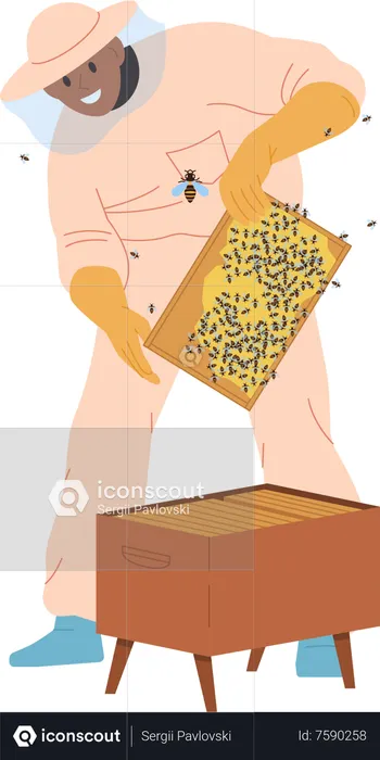 Male beekeeper in protective hat, overalls and gloves holding frame with honeycombs  Illustration