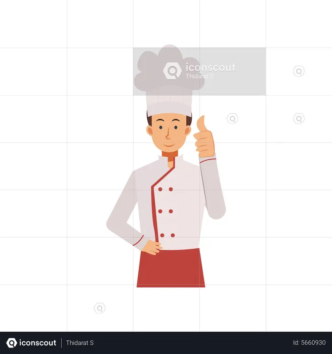 Male Chef Showing Thumb Up  Illustration