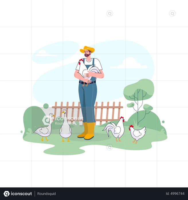Male chicken farmer managing poultry  Illustration
