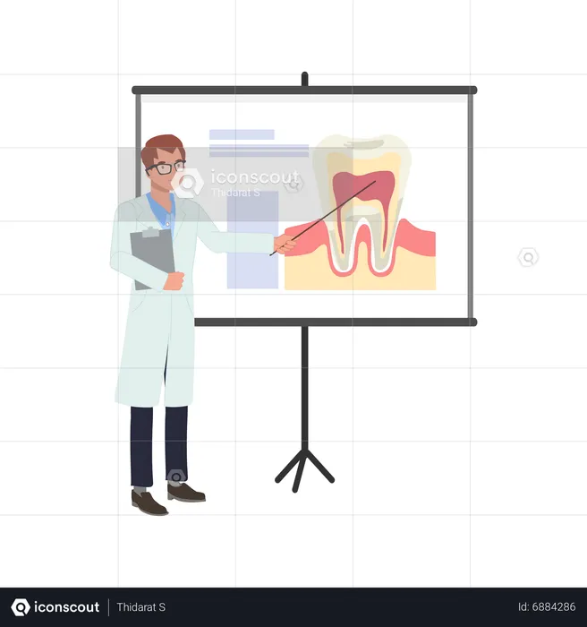 Male Dentist explains about tooth on whiteboard  Illustration