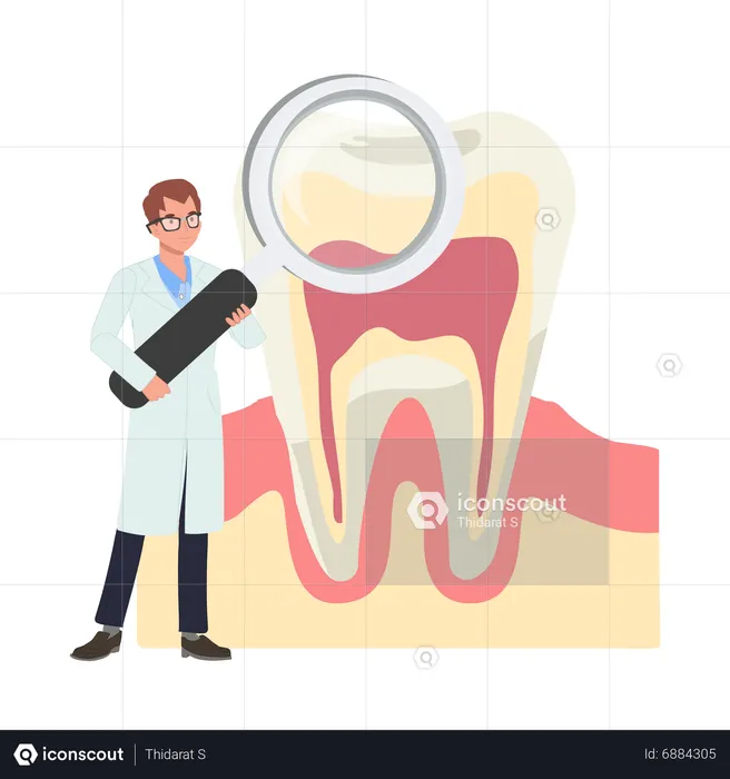 Male dentist research on teeth  Illustration