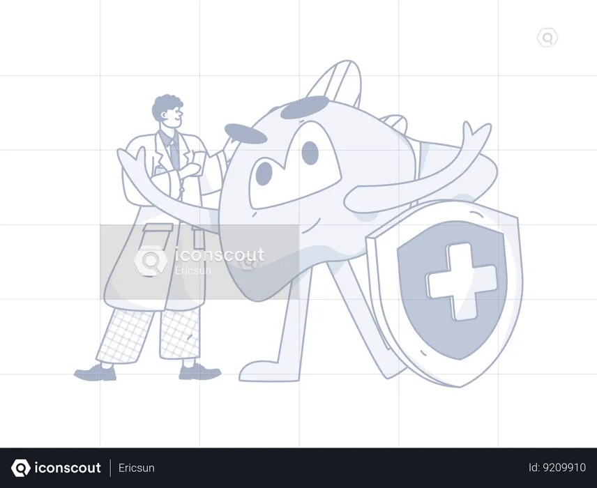 Male doctor with healthy liver  Illustration