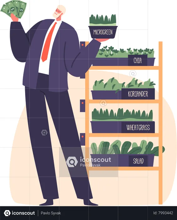 Male Entrepreneur Selling Fresh Nutrient-packed Microgreens  Illustration