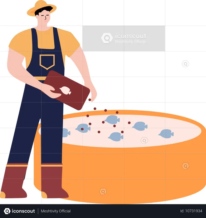 Male farmer giving food to fish  Illustration