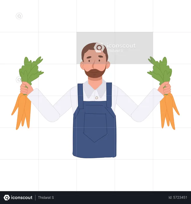 Male farmer Harvesting carrot  Illustration