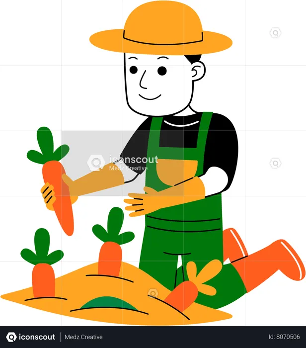 Male farmer harvesting carrot  Illustration