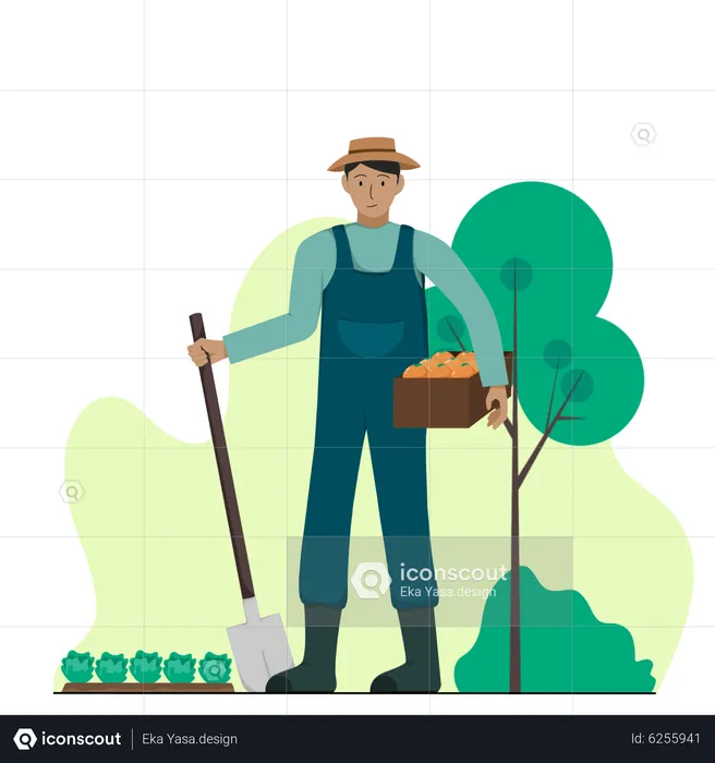 Male farmer harvesting plantation  Illustration