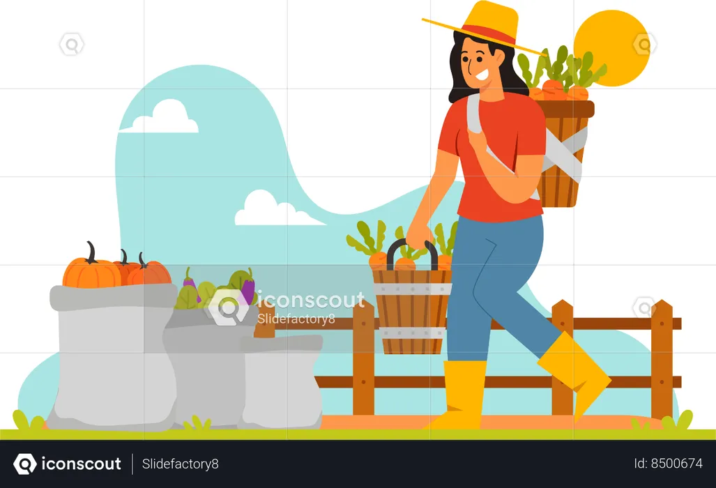Male Farmer Harvesting Vegetable  Illustration
