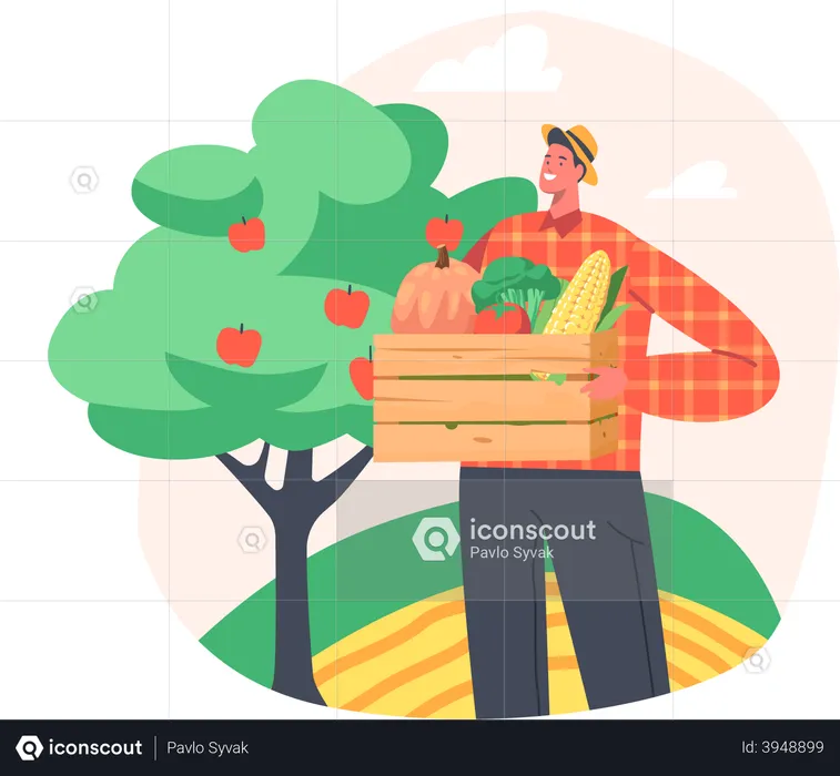 Male farmer holding carat of fresh fruits and vegetables  Illustration