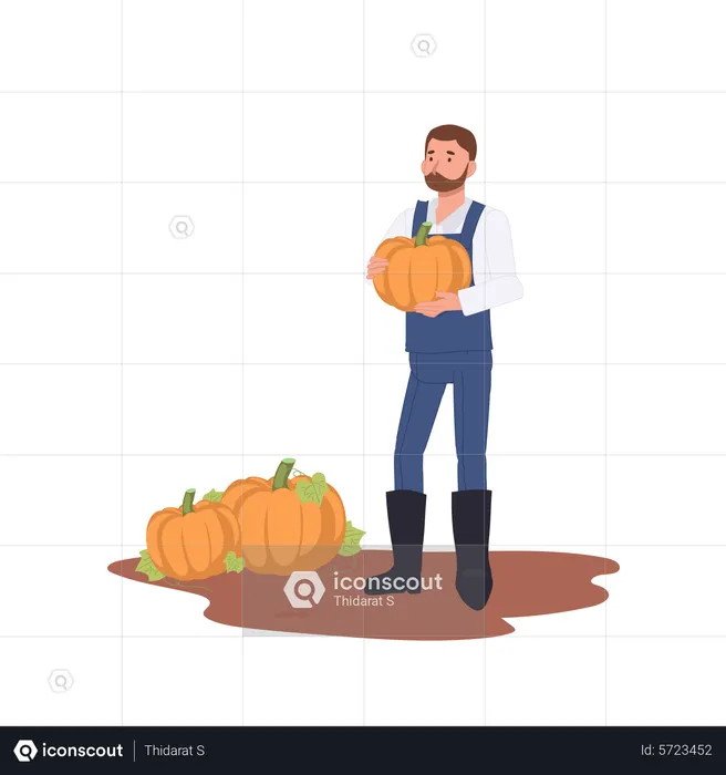 Male farmer holding ripe pumpkin during harvesting in autumn  Illustration