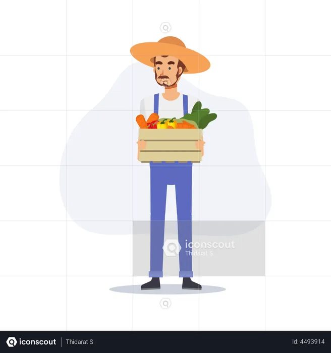 Male farmer holding vegetables basket  Illustration
