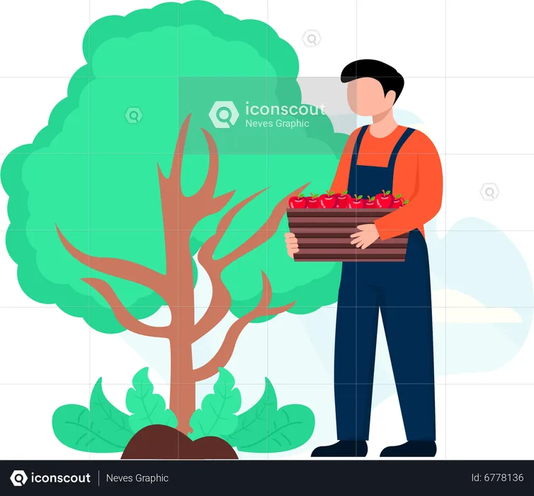 Male farmer  Illustration