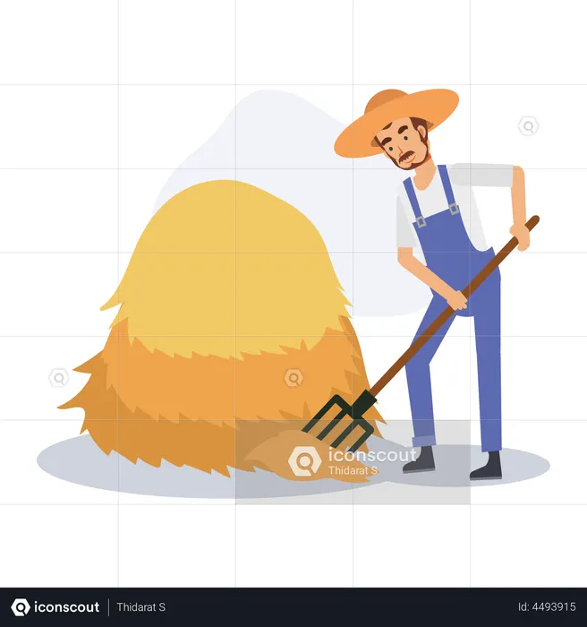 Male Farmer sweeping straw near haystack  Illustration