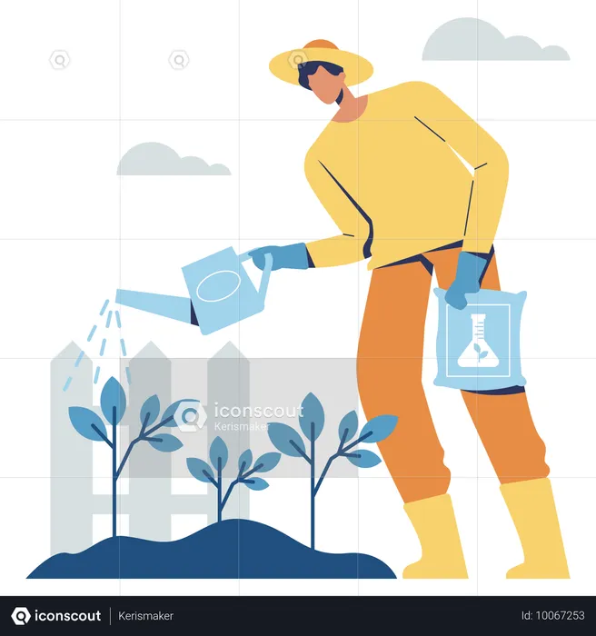 Male Farmer Watering Plant  Illustration