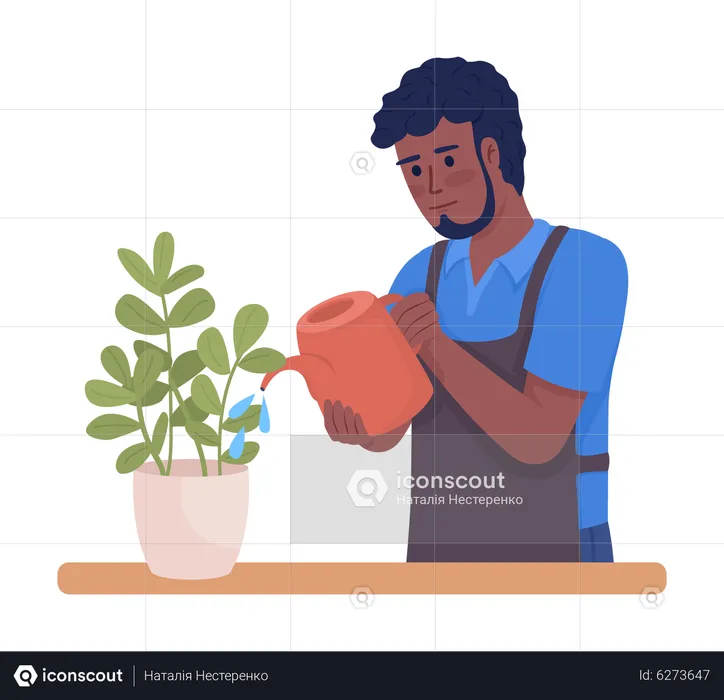 Male housekeeper watering indoor plants regularly  Illustration