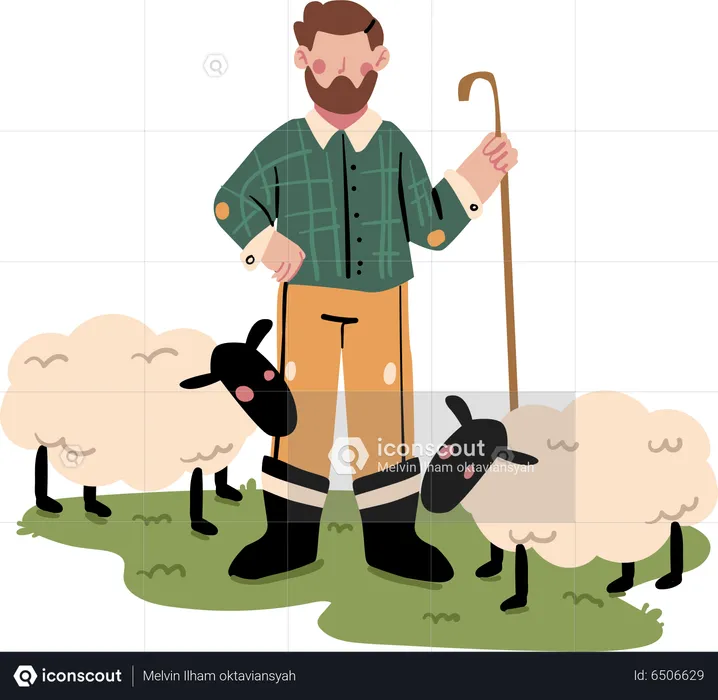 Male Shepherd with sheep  Illustration