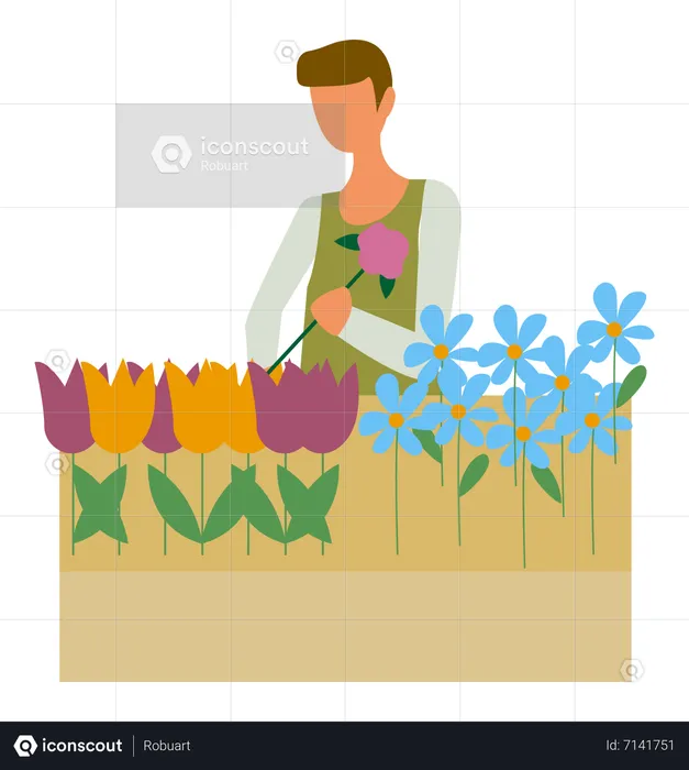 Man arranging flowers  Illustration