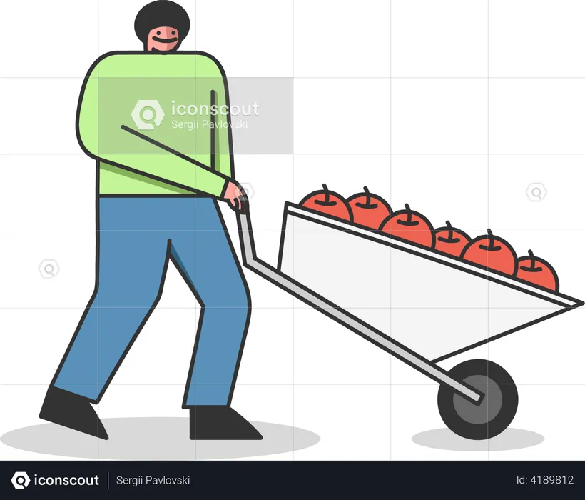 Man Carries Wheelbarrow Full Of Apples  Illustration