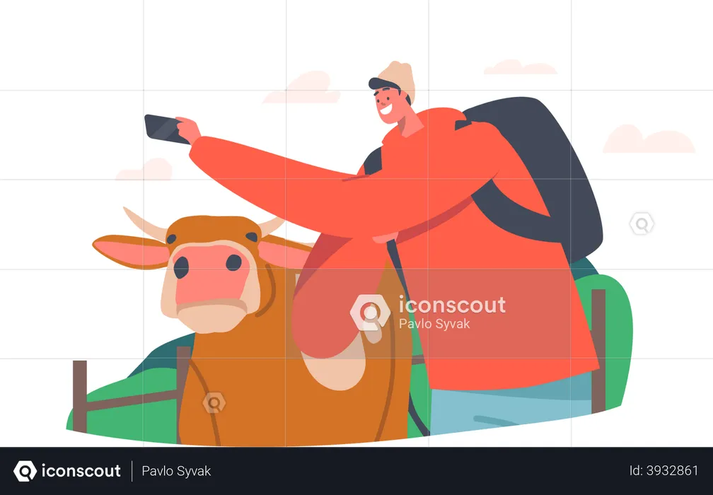 Man clicking selfie with cow  Illustration