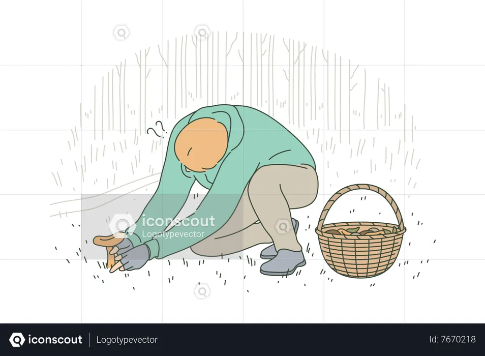 Man collecting mushroom  Illustration