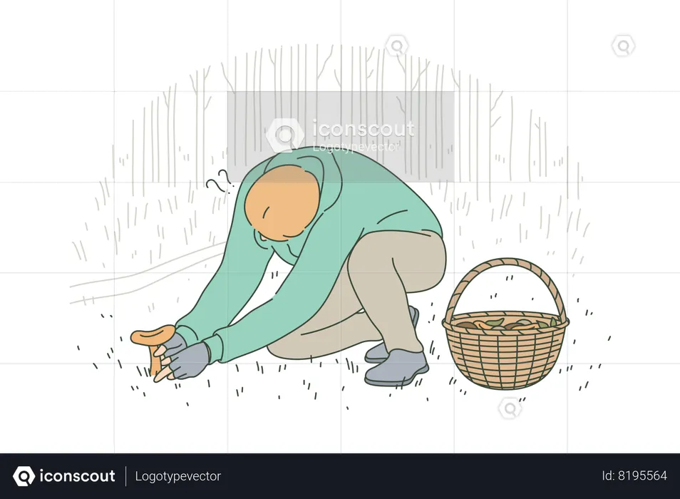 Man collecting picking up mushroom cutting with knife in forest  Illustration