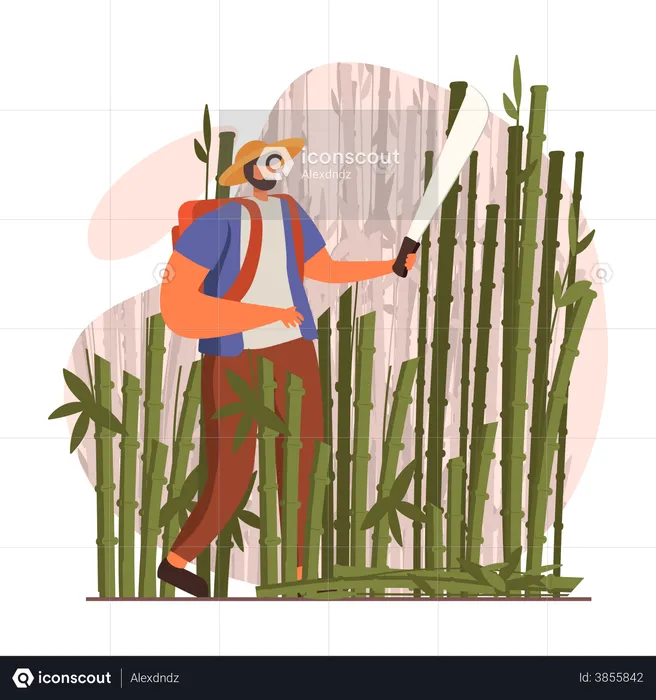 Man cutting bamboos with sword  Illustration