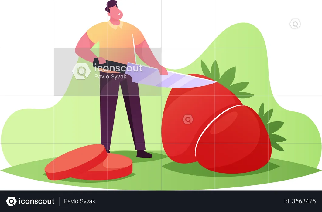 Man Cutting Strawberry  Illustration