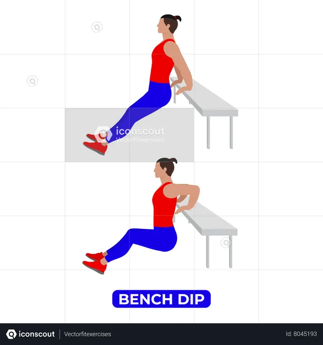 Man Doing Bench Triceps Dip Exercise  Illustration