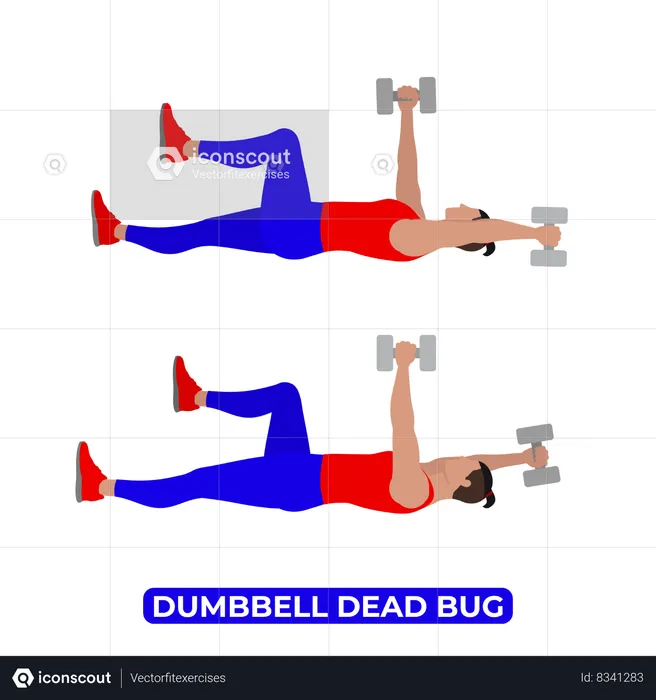 Man Doing Dumbbell Dead Bug Exercise  Illustration