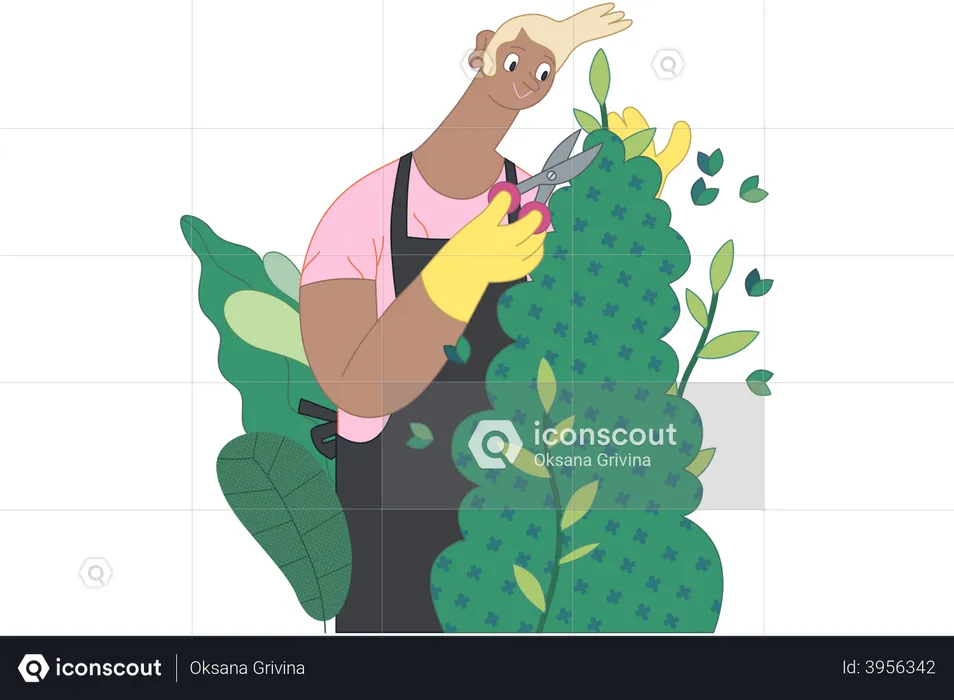 Man doing gardening  Illustration