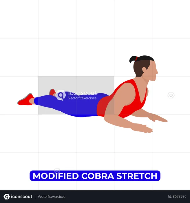 Man Doing Modified Cobra Stretch  Illustration