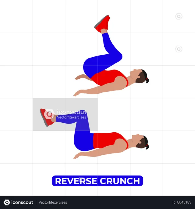 Man Doing Reverse Crunch Exercise  Illustration