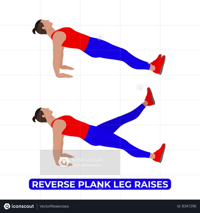 Man Doing Reverse Plank Leg Raises Exercise  Illustration