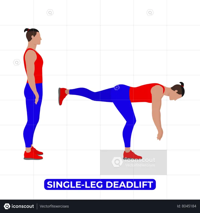 Man Doing Single Leg Deadlift Exercise  Illustration