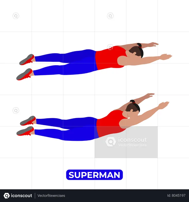 Best Man Doing Superman Exercise Illustration download in PNG & Vector ...