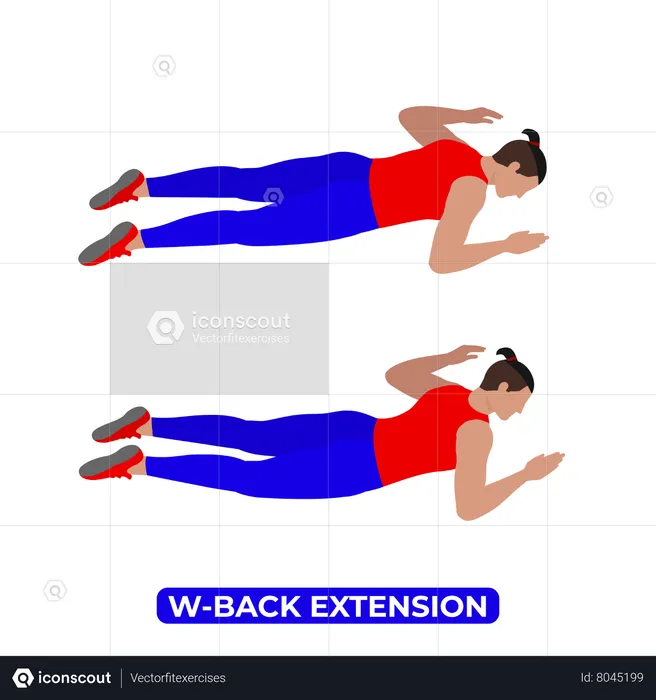 Man Doing W Back Extension Exercise  Illustration