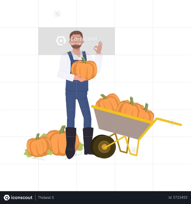Man farmer holding pumpkin  Illustration