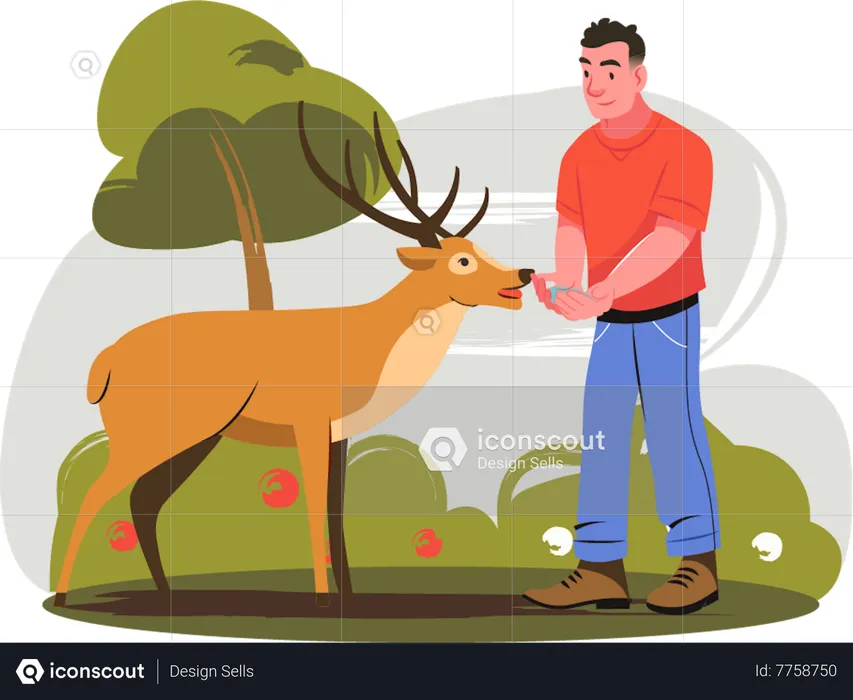 Man giving food to deer  Illustration
