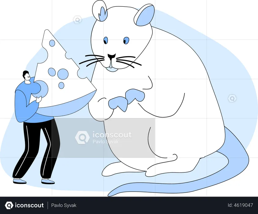 Man Giving Piece of Cheese to Huge White Mouse  Illustration