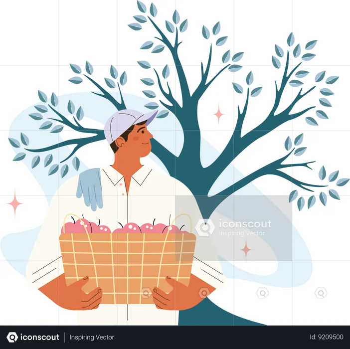 Man  holding  big basket with harvest.  Illustration