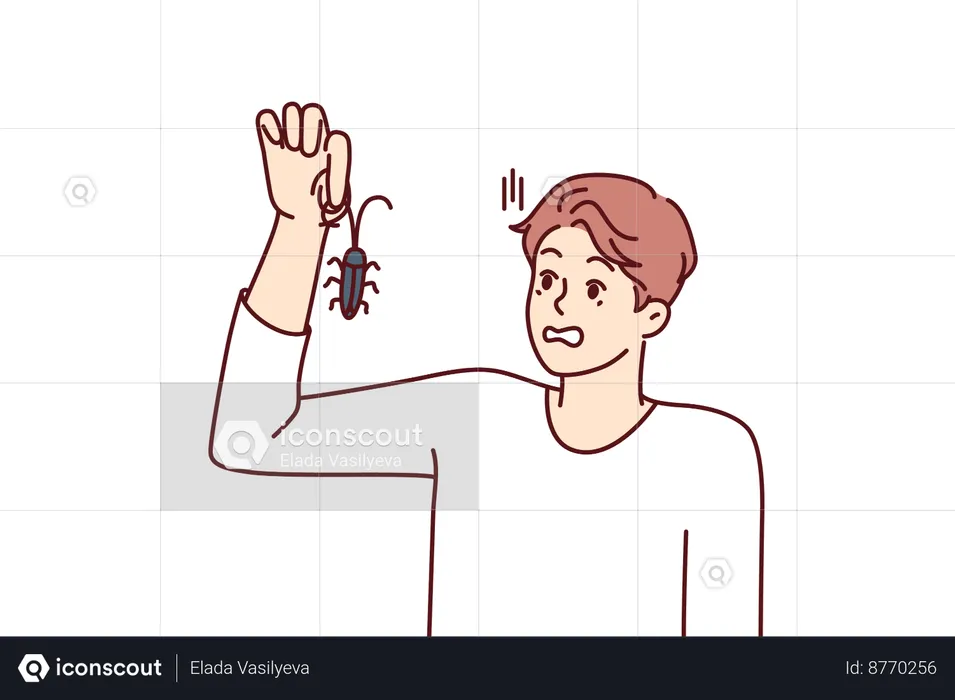 Man is holding cockroach  Illustration