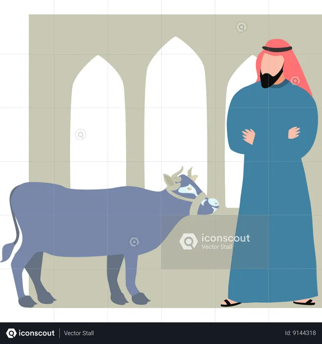 Man looks at Eid cow  Illustration