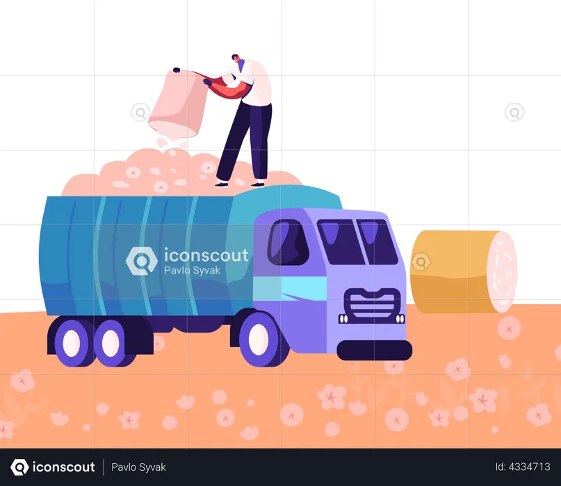 Man Picking Cotton on Field and Put into Truck  Illustration