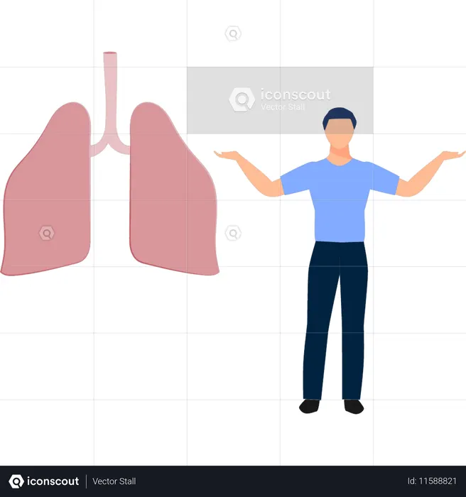 Man  presenting healthy human lungs  Illustration