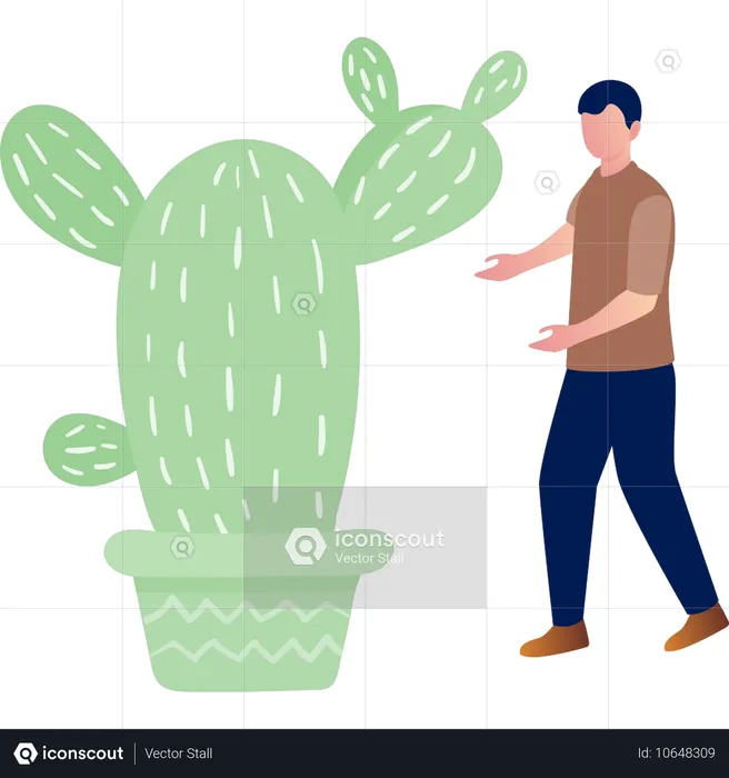 Man showing opuntia plant  Illustration