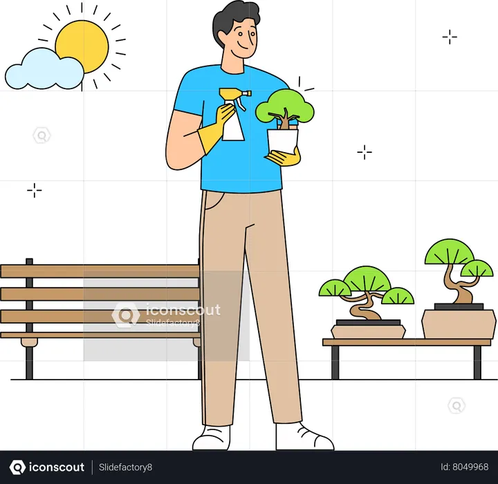 Man taking care of bonsai  Illustration