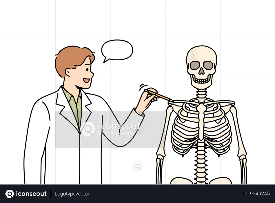 Man teacher at medical college and talks about structure of human skeleton and teaches future doctors  Illustration