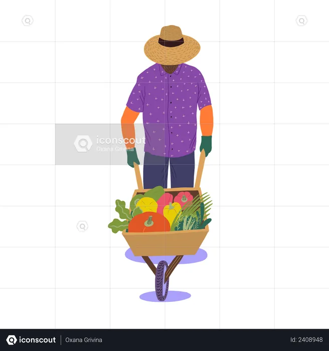 Man walking with trolley of vegetables  Illustration