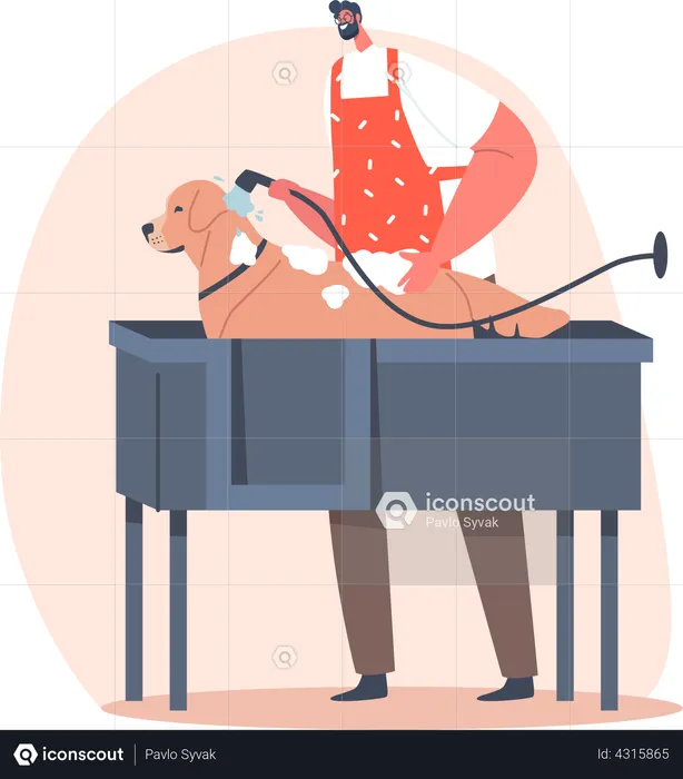 Man washing dog with water and soap  Illustration