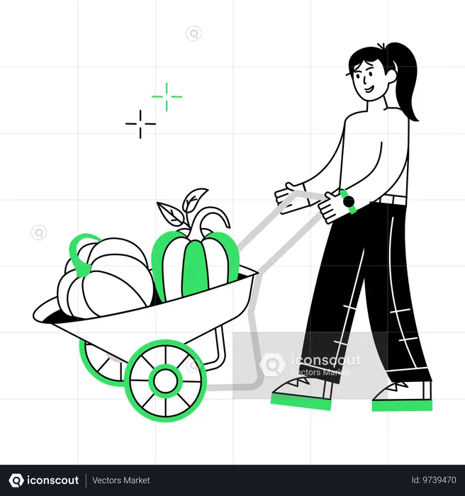 Man watering pumpkin while Growing Pumpkin  Illustration